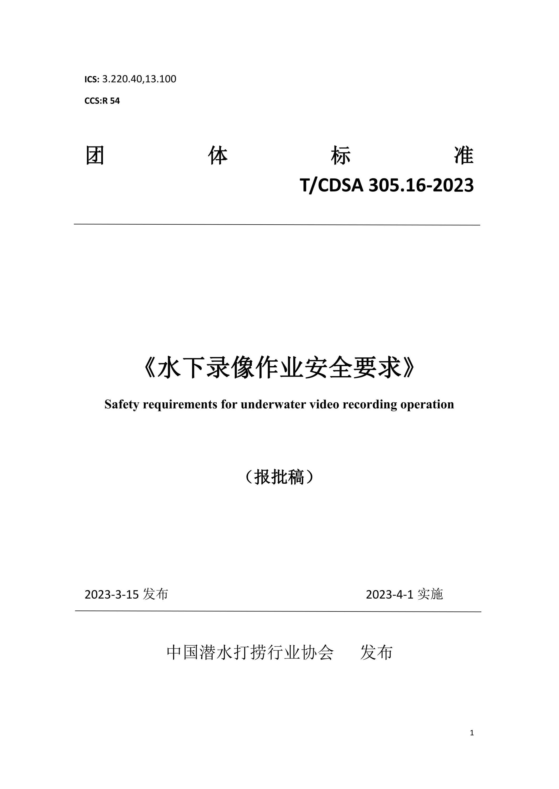 T/CDSA 305.16-2023 水下录像作业安全要求